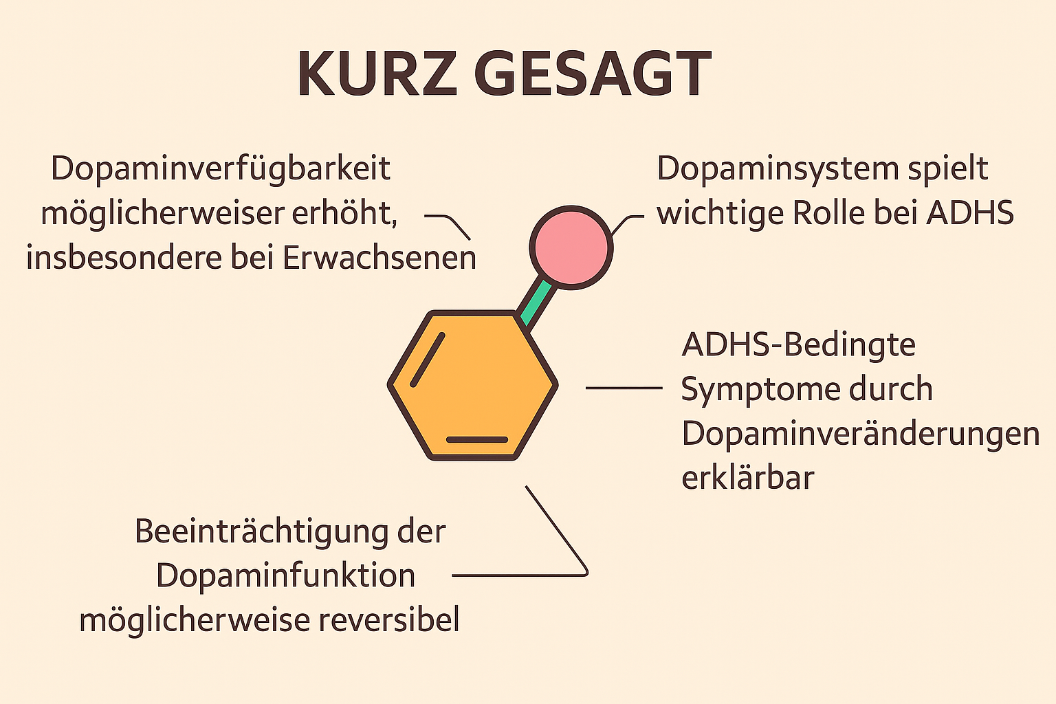 „Infografik mit dem Titel Kurz gesagt zeigt zentrale Erkenntnisse über Dopamin und ADHS. In der Mitte ist ein stilisiertes Dopamin-Molekül abgebildet. Darum angeordnet stehen vier Aussagen: Dopaminverfügbarkeit möglicherweise erhöht, insbesondere bei Erwachsenen; Dopaminsystem spielt wichtige Rolle bei ADHS; ADHS-bedingte Symptome durch Dopaminveränderungen erklärbar; Beeinträchtigung der Dopaminfunktion möglicherweise reversibel.“